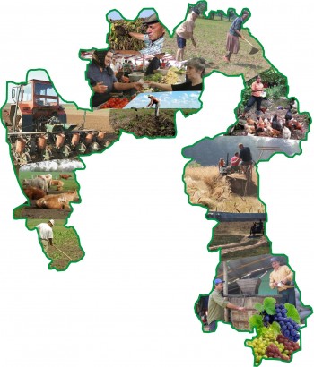 Grupul de Acţiune Locală Tecuci constituit din mai multe terenuri agricole