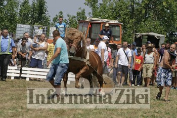 Proba de tractiune la concursul de cai din Ruseni