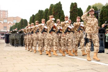 Defilarea militarilor de Ziua Armatei la Carei