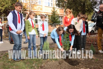 Plantare pomi ornamentali la Scoala Mircea Eliade