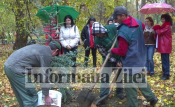 Ploaia de marţi a contribuit la bunul mers al acţiunii de plantare.