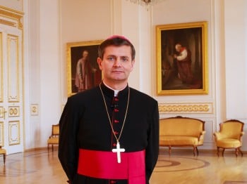 Eugen Schonberger - Episcop romano-catolic de Satu Mare