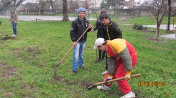 Sădind puieţi