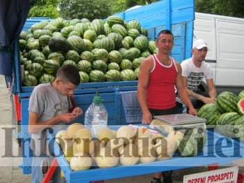 Lebenita din productie autohtona