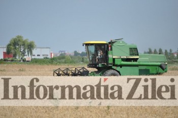 S-a recoltat 10% din suprafata cultivata cu grau in judet