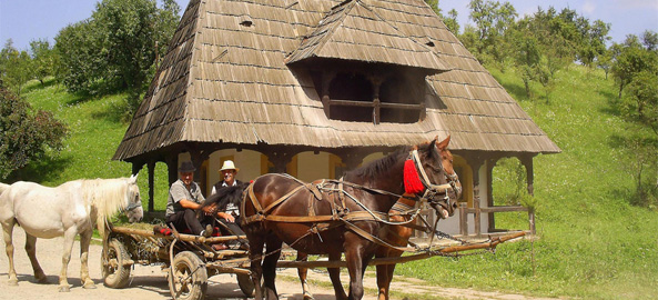 casa taraneasca din Muzeul Maramuresului