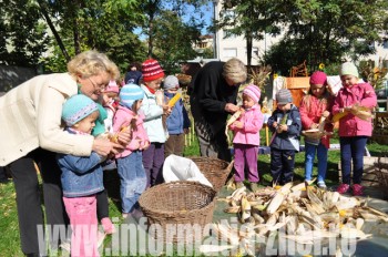 Copiii au fost impresionati sa descopere ce inseamna munca pe camp si in gradina