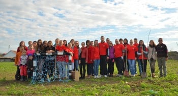 grupul de tineri care au plantat copacii