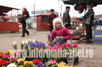 Oferta bogata de flori in pietele satmarene