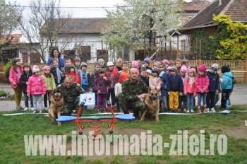 Angenţii operativi Csengeri Adrian şi Csaki Istvan au venit la Grădiniţa Dumbrava Minunată pentru a le arăta celor 156 de copii  două numere interesante de dresaj canin efectuate de Lex şi Rexi. 