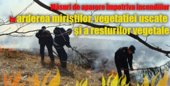 pompierii satmareni intervin la un incendiu de miriste