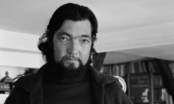 Julio Cortazar