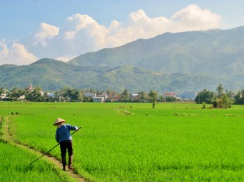 Peisaj rural chinezesc