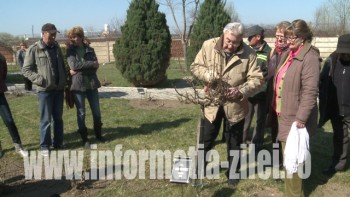  Profesorul Wagner din Cluj a făcut o demonstraţie de tăere a trandafirilor