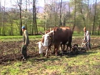 Acest gen de agricultură este depăşit