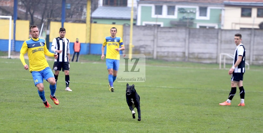 Prima repriză a fost întreruptă de mai multe ori din cauza unui câine care alerga pe teren