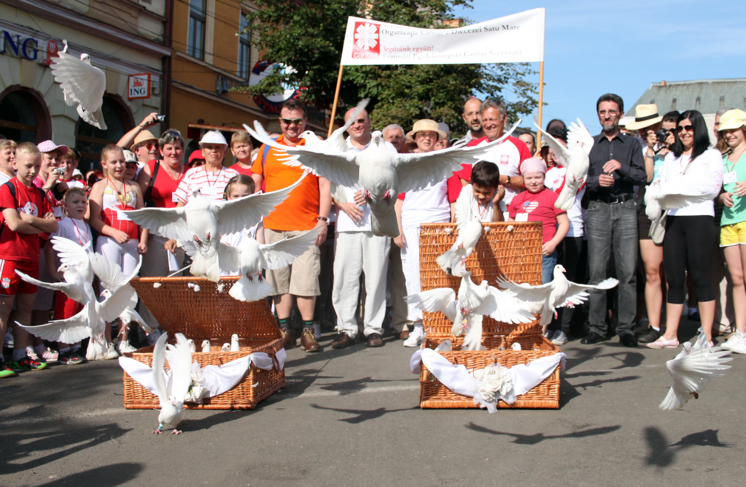 La start s-a dat drumul la 50 de porumbei albi