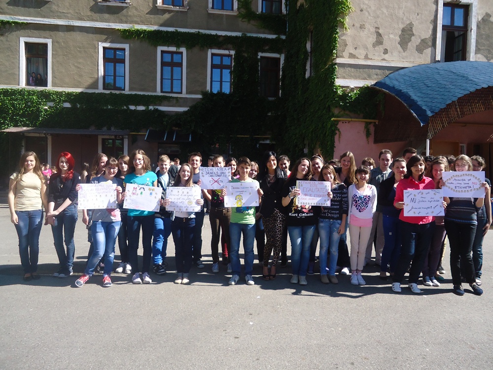 Vineri, 31 mai 2013, elevii clasei a VII-a de la Colegiul Național "Doamna Stanca" din Satu Mare, 34 la număr, au participat la un flash-mob organizat de Zibo.ro și Salvați Copiii România