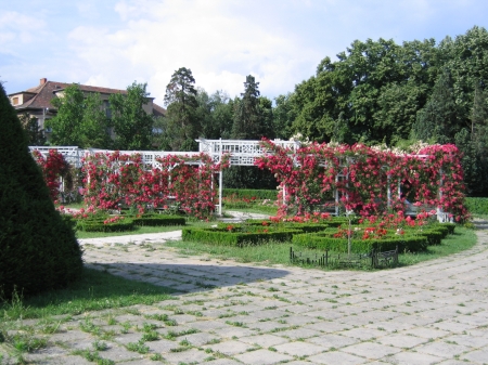 Parcul Rozelor din Timișoara