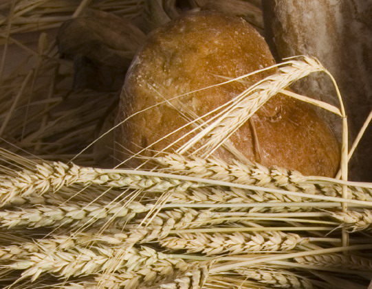 Consiliului Concurenţei va analiza preţurile de pe piaţa cerealelor