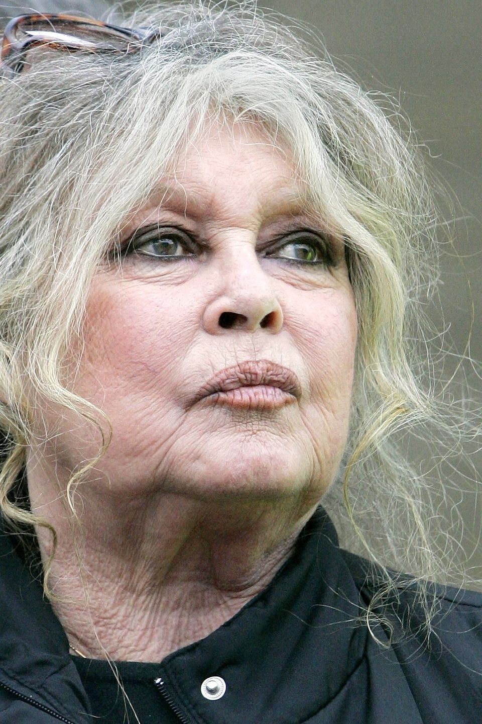 Brigitte Bardot cere anularea legii privind eutanasierea maidanezilor