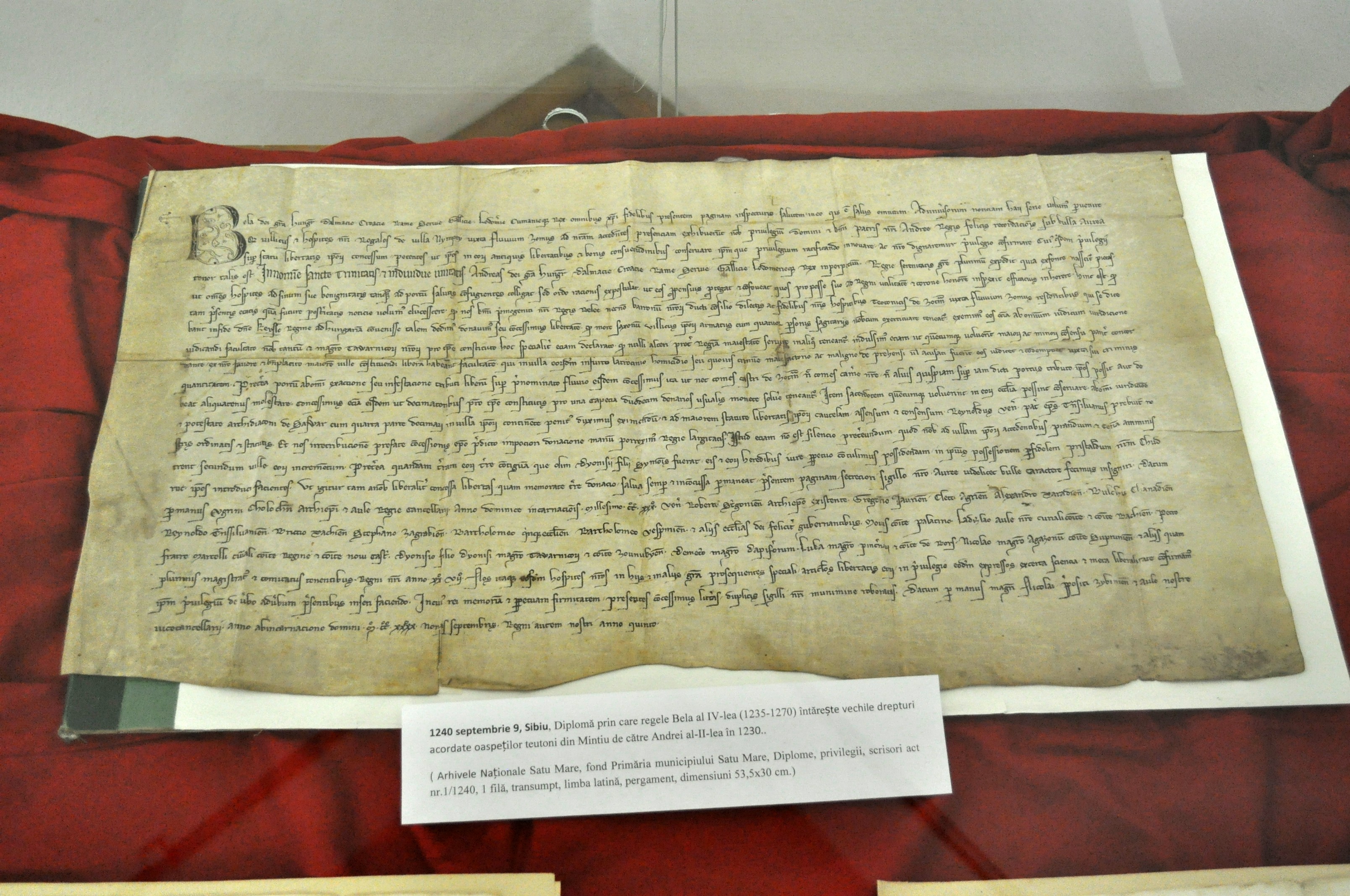 1240. Diplomă prin care regele Bela al IV-lea (1235-1270) întărește vechile drepturi acordate oaspeților teutoni din Mintiu de către Andrei al II-lea în 1230 (transumpt, limba latină, pergament, dimensiuni 53,5x30 cm)