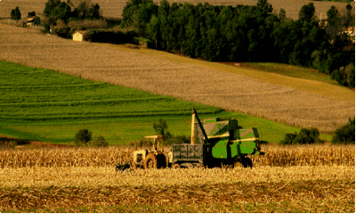 Guvernul renunţă la intenţia de a limita la 100 de hectare suprafaţa de teren agricol pe care o poate deţine o persoană fizică