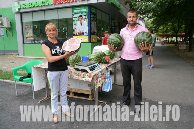 Matişan Vasile, reprezentantul rromilor din localitatea Stâna, vinde kilogramul de pepeni cu 3 lei