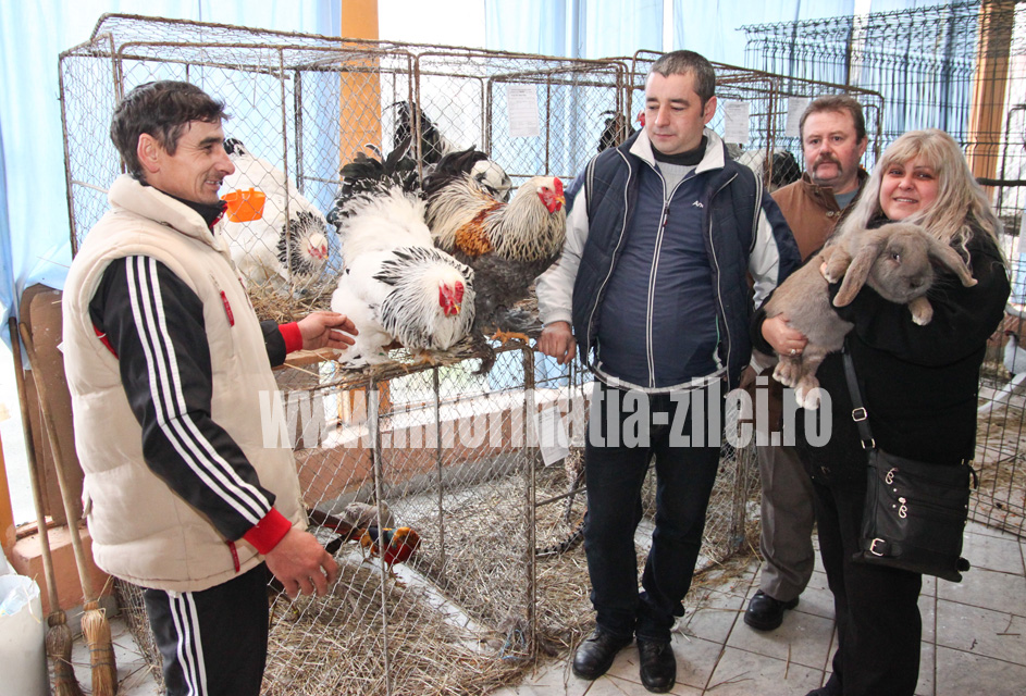 Expo pasari si animale