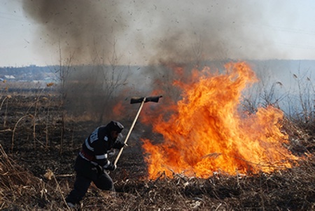 ppompierii au intervenit și la incendiile vegetatie uscata
