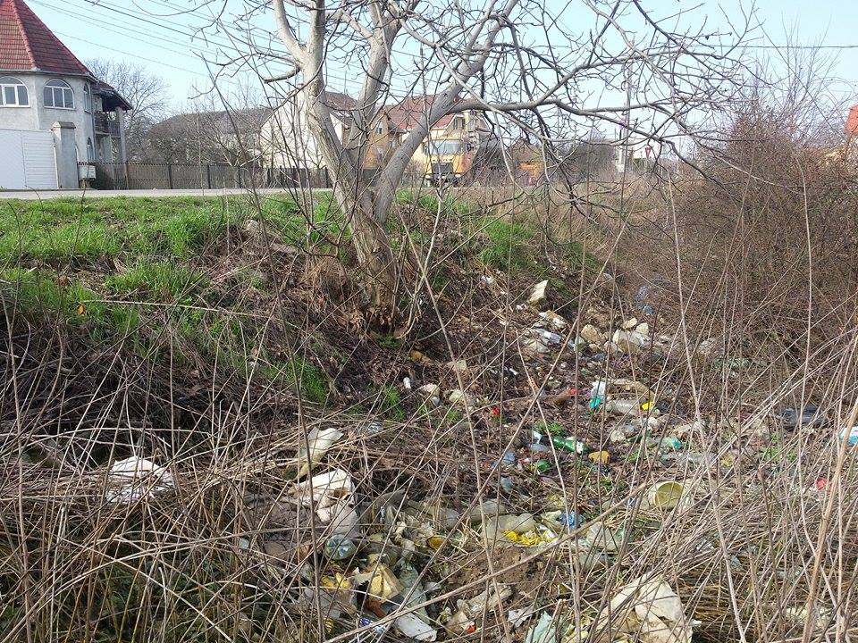 La intrarea în municipiul Satu Mare din Mărtinești, în șanțul adânc, printre buruieni, zac mizeriile