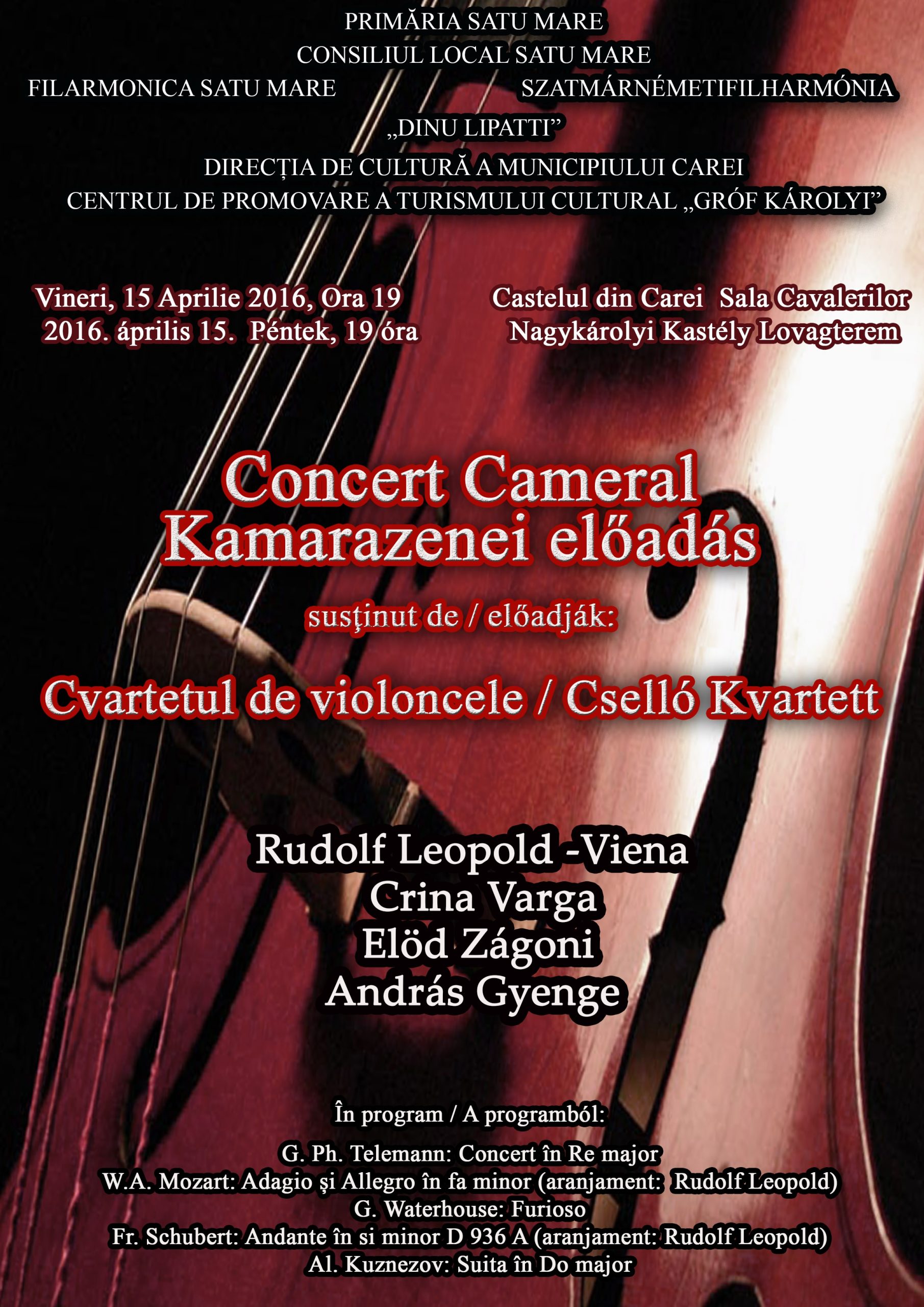 Afişul concertului de la Carei