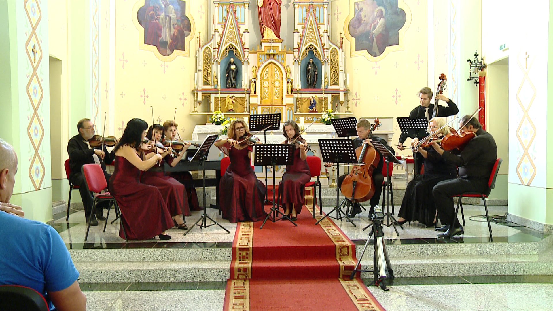 Orchestra de cameră "Opera Vox"