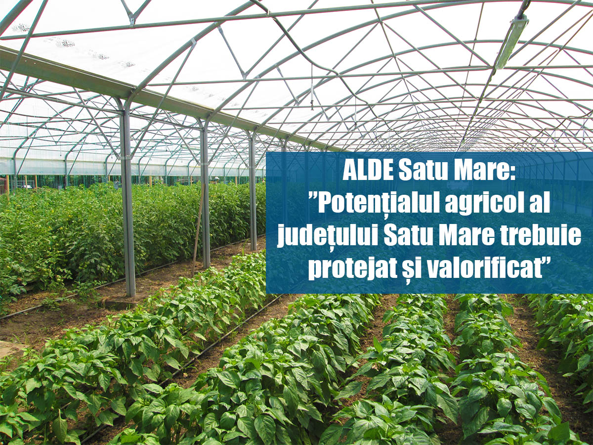 ALDE promoveaza sprijinirea producatorilor agricoli locali