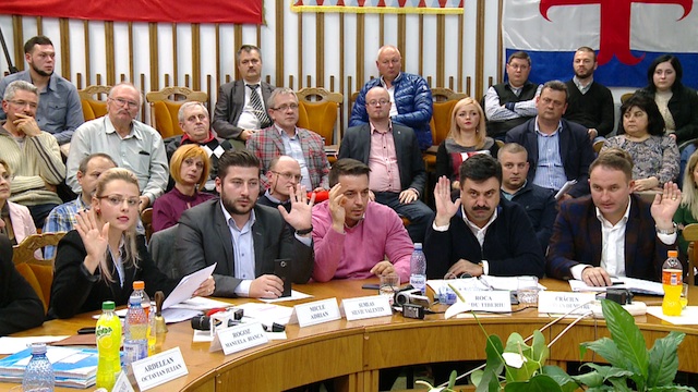 Consiliul local Satu Mare