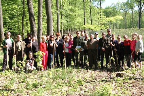 Voluntarii au muncit mai bine de 2 ore pentru a planta sutele de puieti de stejar