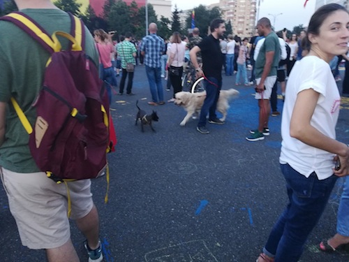 Proteste in Piata Victoriei impotriva modificarilor aduse Codului Civil