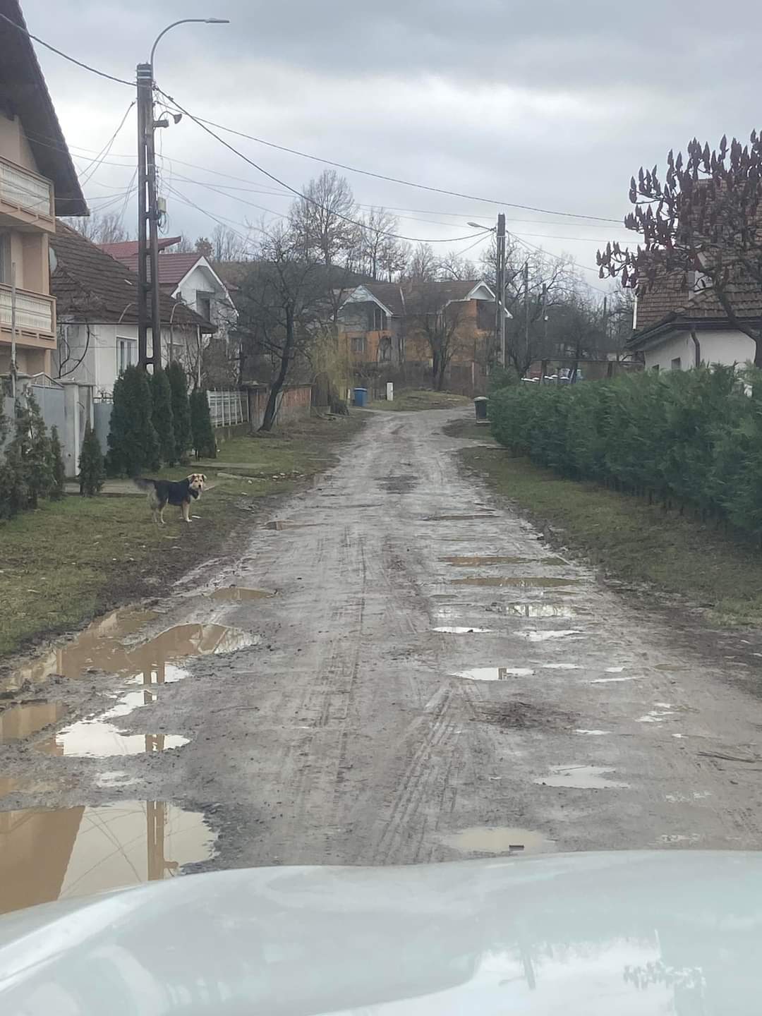 Strada Talna din Negrești-Oaș necesită reparații urgente