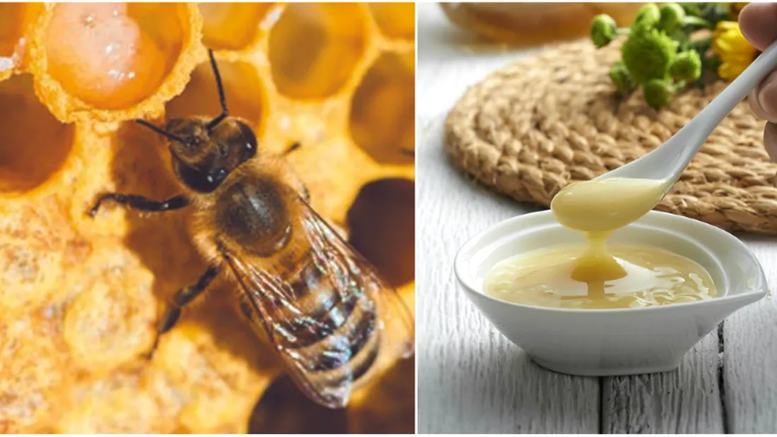 De la albine la sănătate: Explorând puterea “Lăptișorului de Matcă”