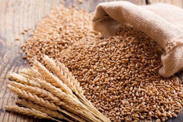 Producția de cereale boabe situează țara noastră pe un loc bun în UE
