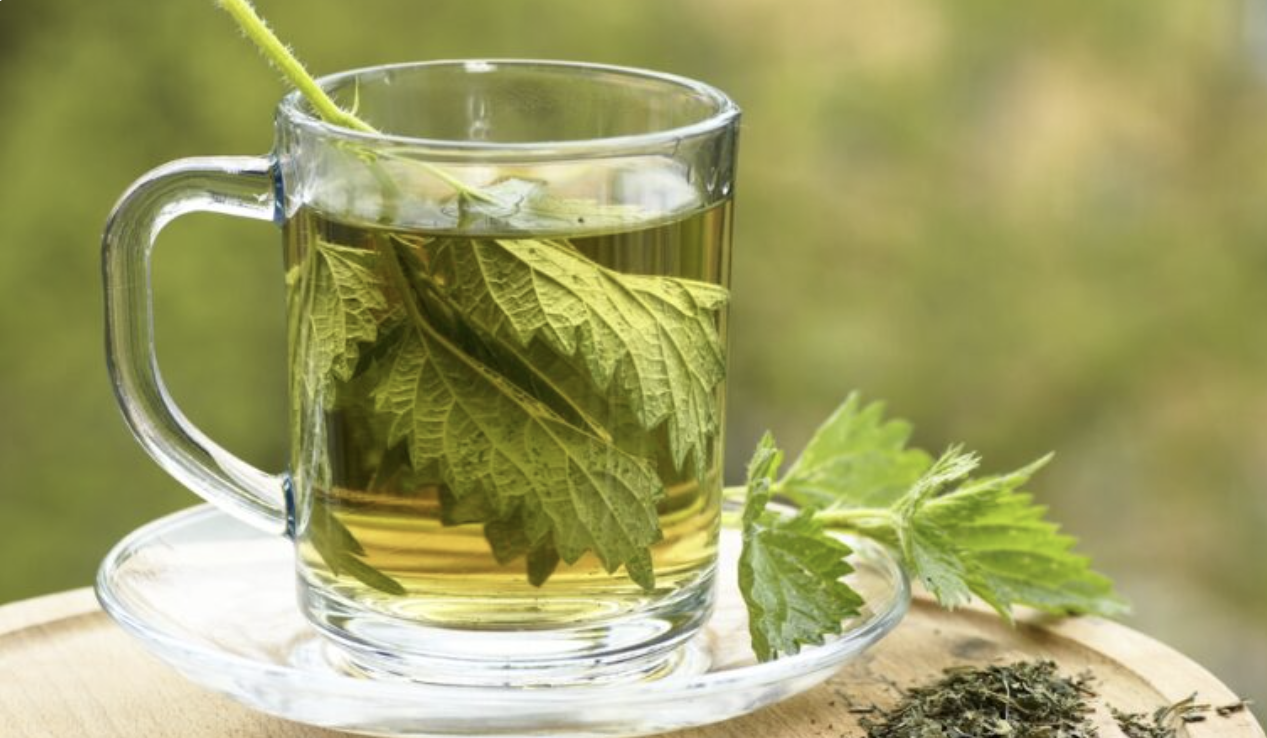 Descoperă puterea ceaiului de urzici în sprijinirea sănătății