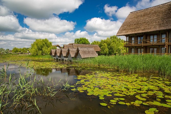 Explorarea Deltei Dunării: O Călătorie Spirituală în Inima Naturii