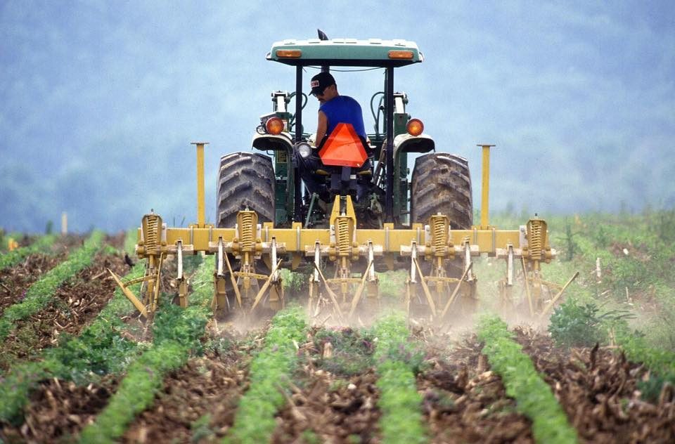 Comisia Europeană propune scutirea fermelor cu suprafețe mai mici de zece hectare de controale și sancțiuni