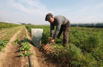 Ministerul Agriculturii propune un proiect de ordin privind redefinirea fermierului activ
