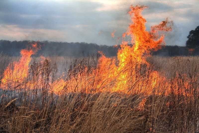 GAEC 10 instituie interdicţia de a incendia păşunile, pentru a nu pierde subvenţia