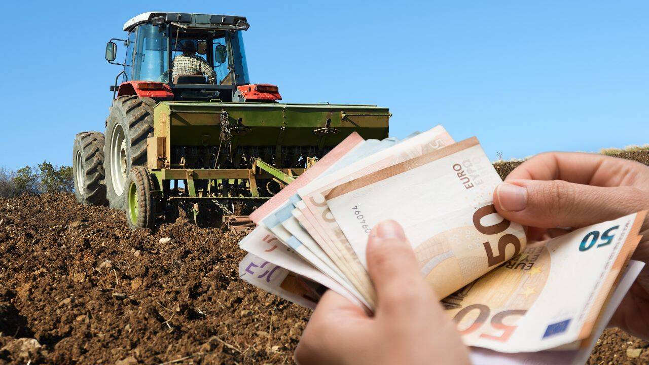 APIA informează fermierii că ANT se va plăti  începând cu ultima parte a lunii martie