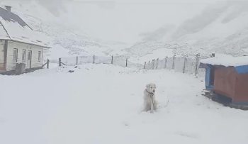 VIDEO: Iarna s-a întors în Maramureș. Ninge în munții Rodnei la Borșa