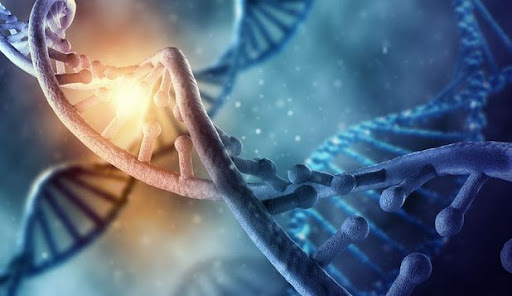 În ADN-ul uman există un mesaj de la Dumnezeu