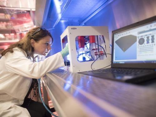 Inovație ESA: Modele 3D de vase de sânge pentru studiul inimii în microgravitație