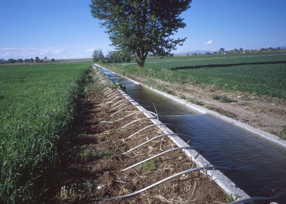 Este în derulare acţiunea de reabilitare a sistemelor de irigaţii din zona de Sud a României